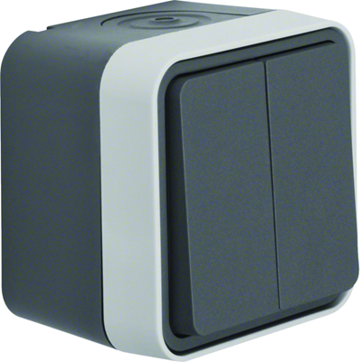 W.1 Interruptor tipo vela con pulsador, terminales de entrada independientes, completo, IP55, gris