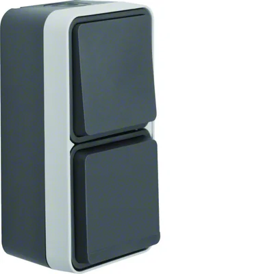 W.1 Interruptor universal con toma SCHUKO, vertical, completo, IP55, gris