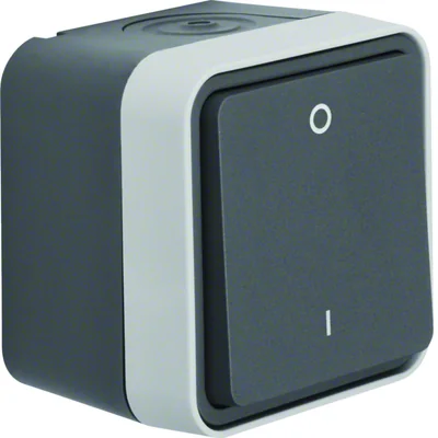 W.1 interruttore 2 poli con sigla "0/1", completo IP55 grigio