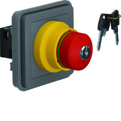 W.1 Interruttore di sicurezza a chiave IP55 grigio