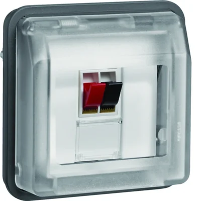 W.1 Module prise haut-parleur simple avec couvercle IP55 gris