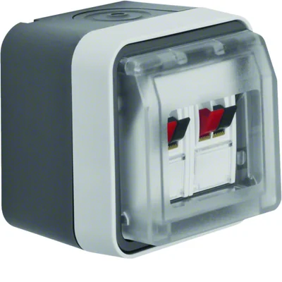 W.1 Presa doppia per altoparlante con coperchio, completa IP55, grigia