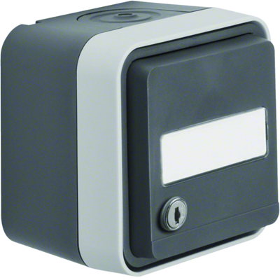 W.1 presa Schuko 2P+Z a chiave con campo dicitura, uguale, serrature complete IP55, grigio