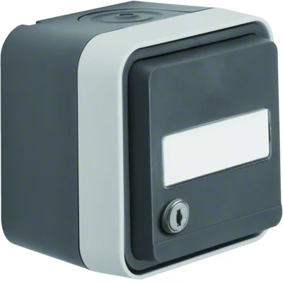 W.1 presa Schuko 2P+Z a chiave con campo dicitura, uguale, serrature complete IP55, grigio