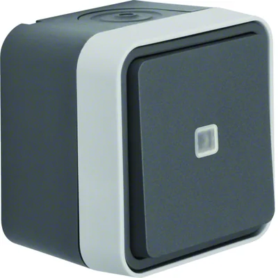 W.1 Pulsante universale con retroilluminazione, completo IP55, grigio