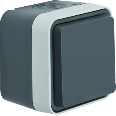 W.1 Schuko 2P+E socket with contact shutters complete IP55 gray