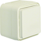 W.1 Schuko 2P+E socket with contact shutters complete IP55 white