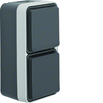 W.1 Schuko socket 2P+E complete 2-way vertical IP55 gray