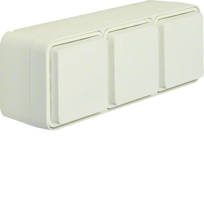 W.1 Schuko socket 2P+E complete 3-way horizontal 2 inputs IP55 white