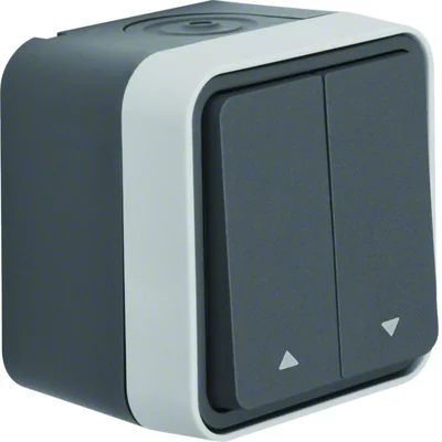 W.1 Shutter switch with "arrow" symbols, complete IP55 gray