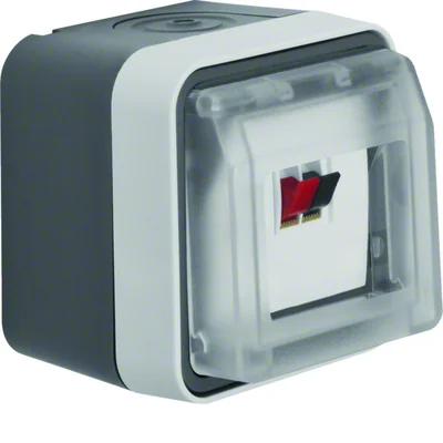 W.1 Toma de altavoz individual con tapa, completa IP55, gris