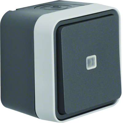W.1 Universal push-button switch with backlight complete IP55 grey