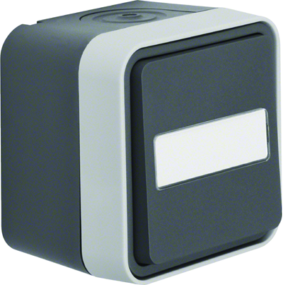 W.1 Universal push-button switch with illuminated description field complete IP55 grey