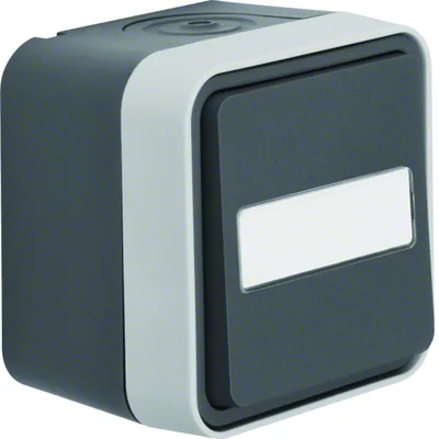 W.1 Universalstecker mit beleuchtetem Beschreibungsfeld IP55 grau Set