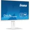 Weißer Monitor iiyama ProLite XUB2797QSN-W2 27" IPS LED WQHD 1ms 100Hz /HDMI DP / Integrierte USB-C-Dockingstation, flimmerfrei