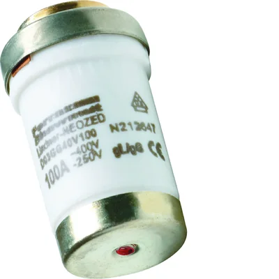 Wkładka bezp. zwłoczna D03/M30x2 100A 400V