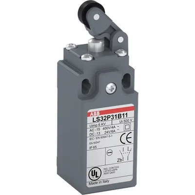 Wyłącznik krańcowy LS31P31B11