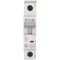 Wyłącznik nadprądowy HN-B32/1 32A 1P 6kA B 230V IP20 typ AC