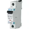 ZP-ASA/24 Growth Trigger
