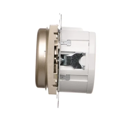 Zweipoliger Drehdimmer für dimmbare LEDs 230V (Modul) 5-215W, goldmetallic