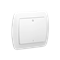 Zweipoliger Schalter 10A, 250V, Schraubklemmen, weiß
