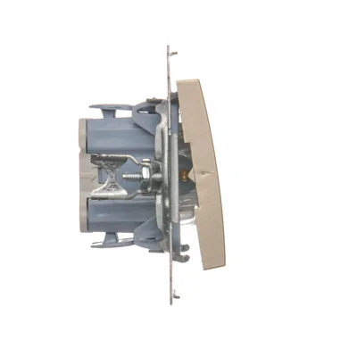 Zweipoliger Schalter mit LED-Hintergrundbeleuchtung (Modul) 10A, 250V, Schnellanschlüsse, Gold (metallisch)