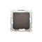 Zweipoliger Schalter (Modul) 230V, mattbronzemetallic