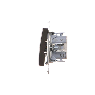 Zweipoliger Schalter (Modul) 230V, mattbronzemetallic
